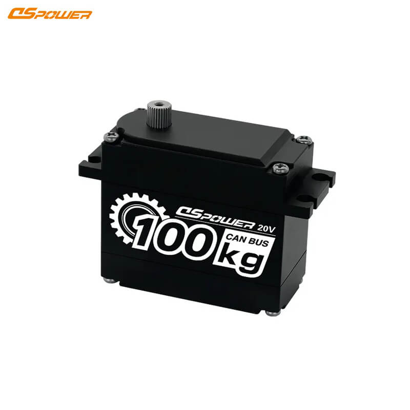 DSpower DS-P008 Servo Motor