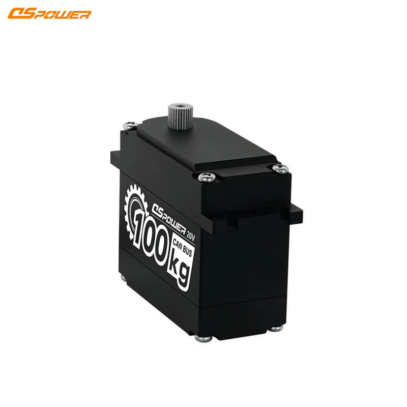 DSpower DS-P008 Servo Motor