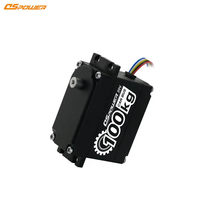 DSpower DS-P008 Servo Motor