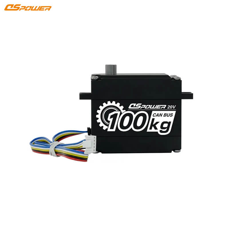 DSpower DS-P008 Servo Motor