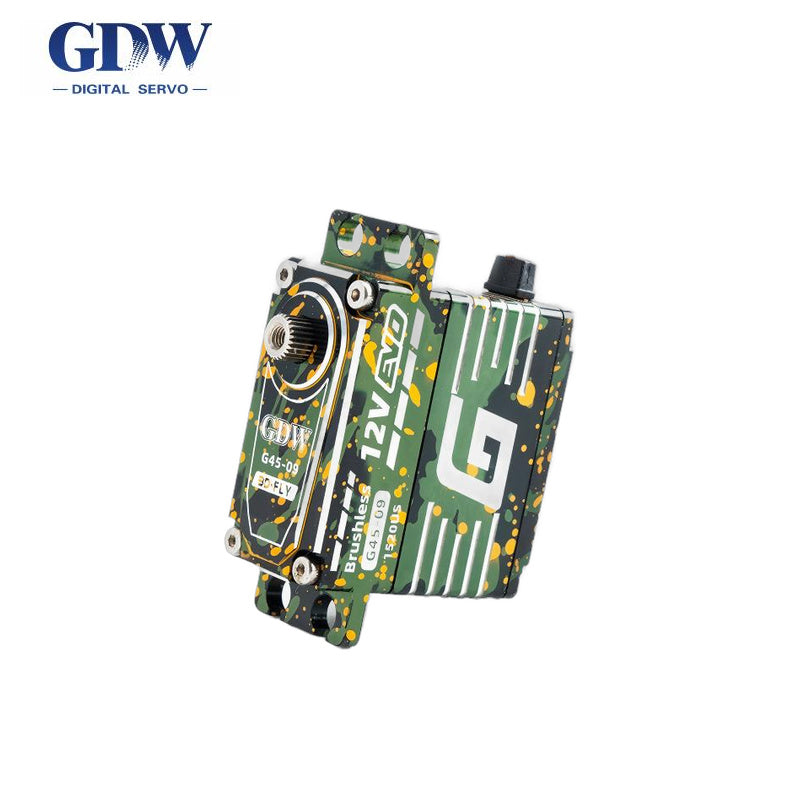GDW G45 Servo Motor