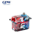 GDW IPX893 Servo Motor