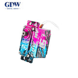 GDW IPX896 Servo Motor