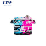 GDW IPX896 Servo Motor