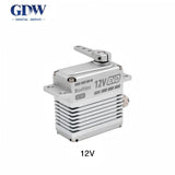 GDW RS180 Servo Motor