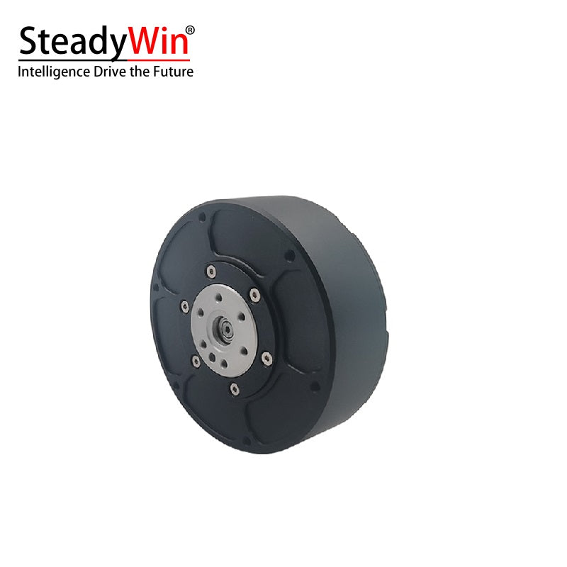 SteadyWin GIM6010-6 Planetary Reducer Motor