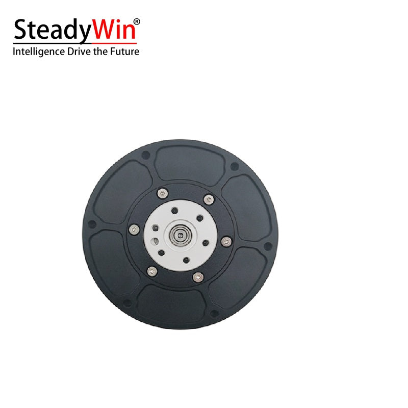 SteadyWin GIM6010-6 Planetary Reducer Motor
