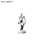 Galbot G1 Robot
