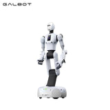 Galbot G1 Robot