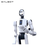 Galbot G1 Robot