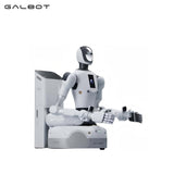 Galbot G1 Robot