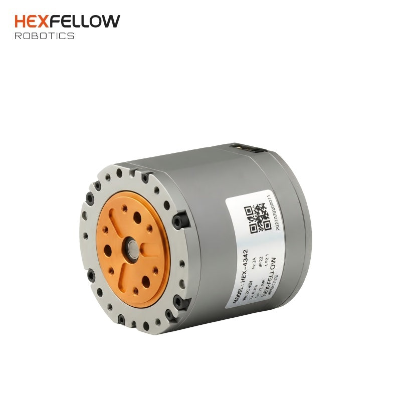 HexFellow HEXMOTOR 4342P Motor