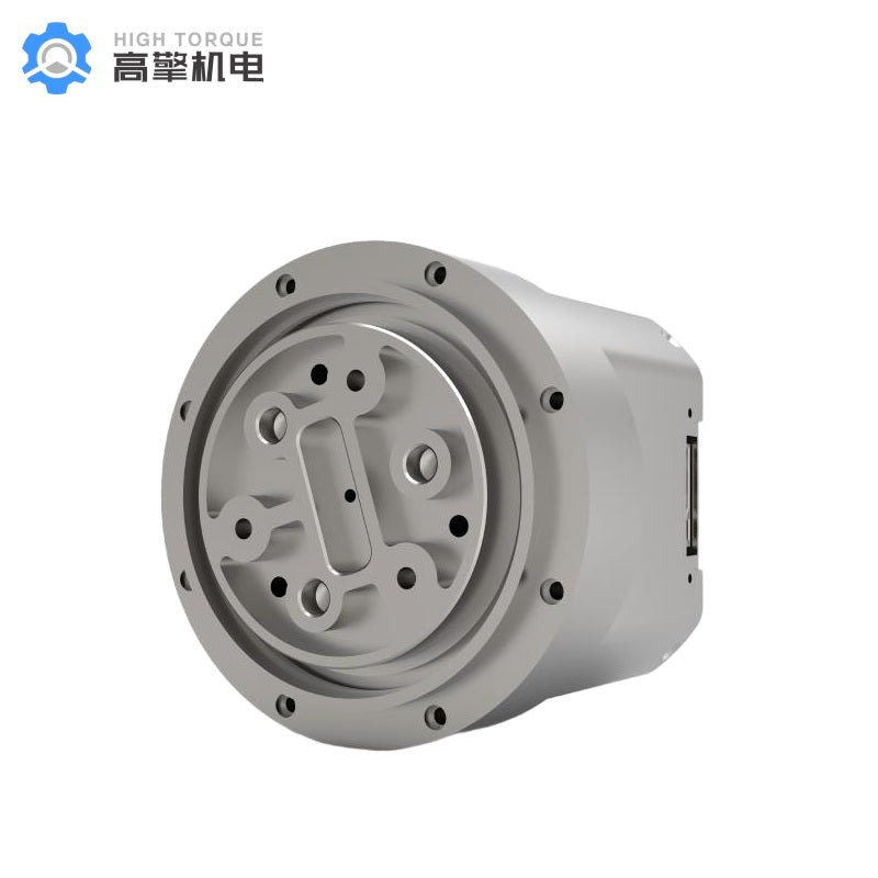 HIGH TORQUE HTDW-5047-36-NE-JC Motor