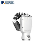 INSPIRE-ROBOTS RH56BFX Robotic Hand