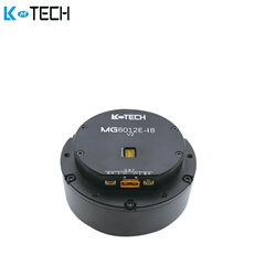 LKMTECH MG6012E-i8v2 Motor
