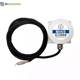 BWSENSING BW-MINS500 Sensor
