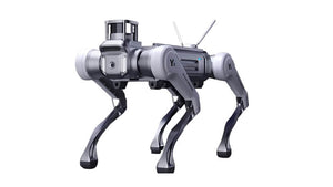 MagicLab MagicDog Y1 Robot