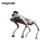 MagicLab MagicDog Y1 Robot