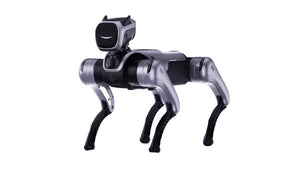MagicLab MagicDog Robot