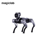 MagicLab MagicDog Robot