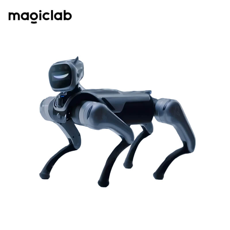 MagicLab MagicDog Robot
