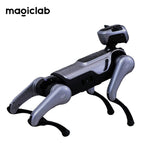 MagicLab MagicDog Robot