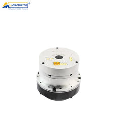 MyActuator RH-20 Motor