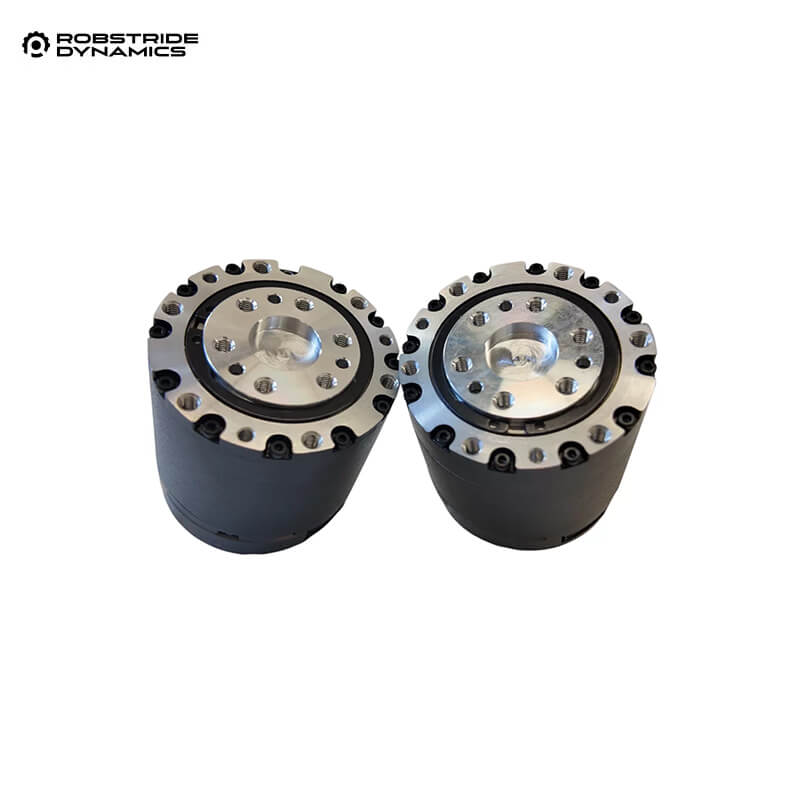 ROBSTRIDE 10P Motor