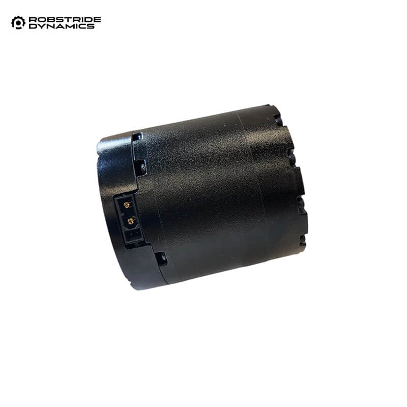 ROBSTRIDE 10P Motor