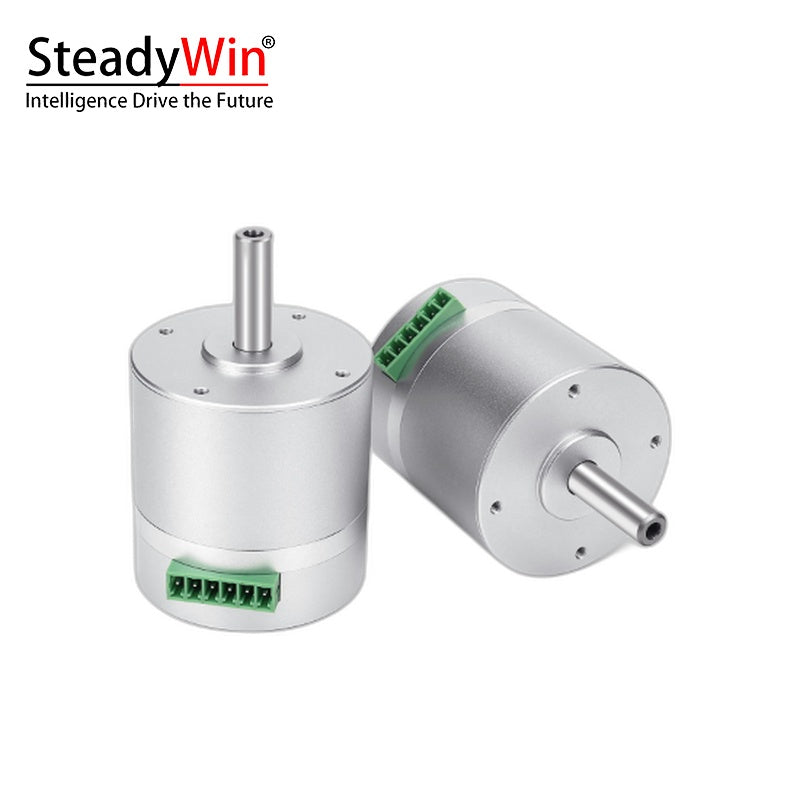 SteadyWin 4210AIO Servo Motor