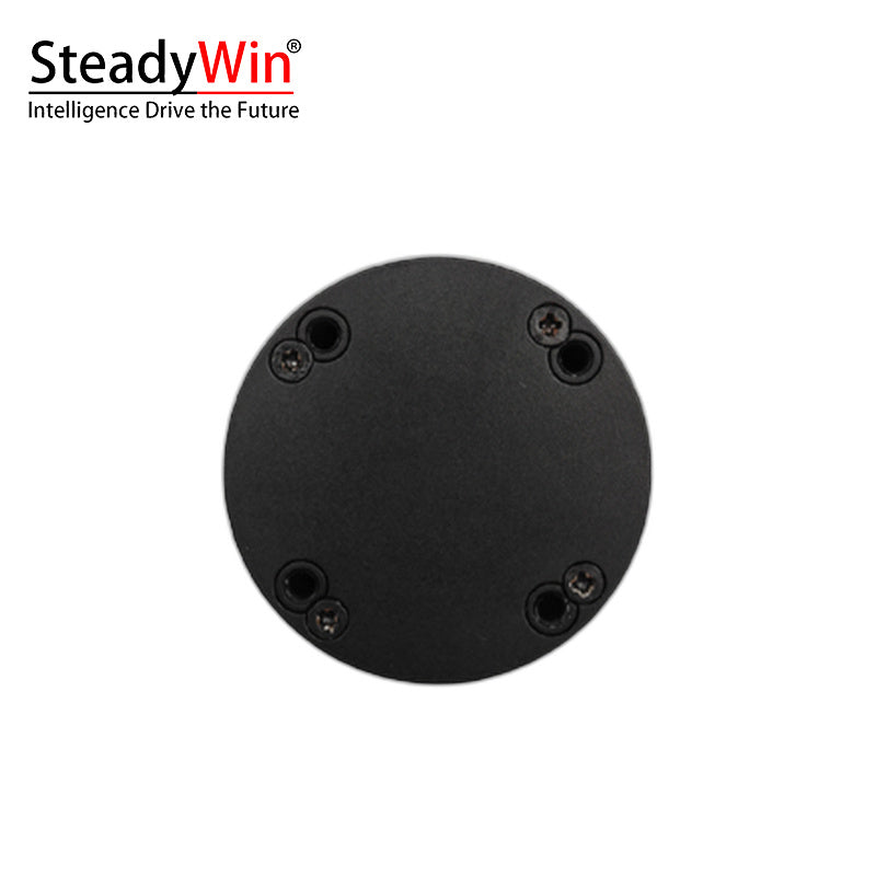 SteadyWin DD4015 Motor