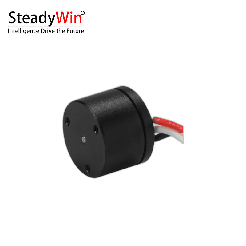 SteadyWin GB1105 Motor