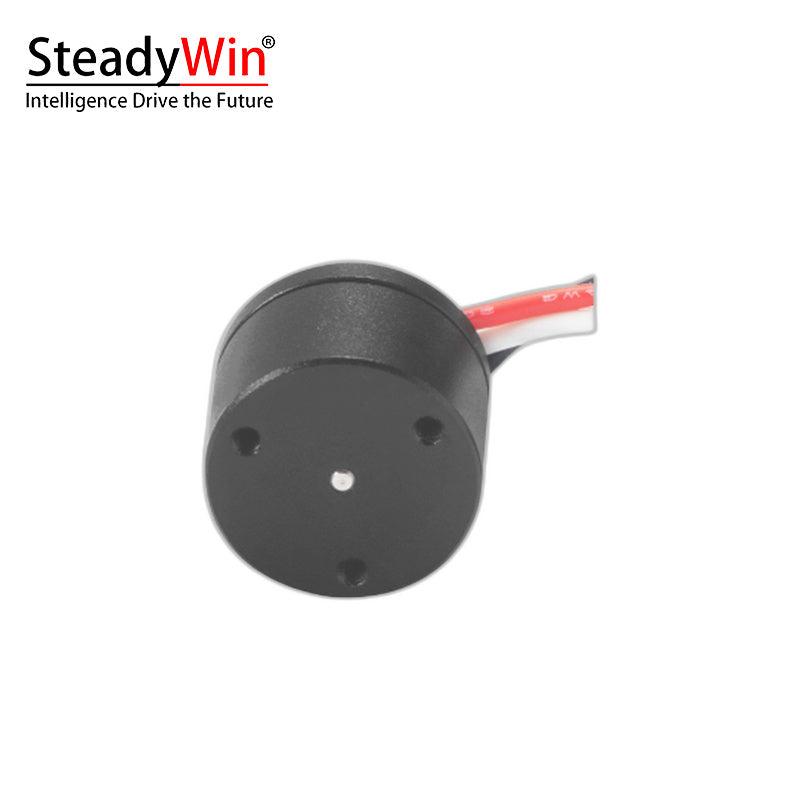 SteadyWin GB1105 Motor