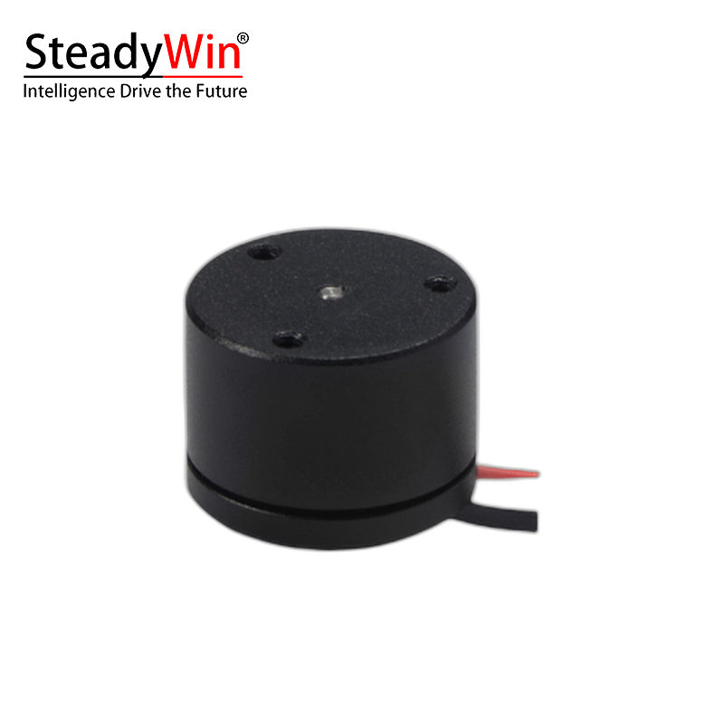 SteadyWin GB1105 Motor