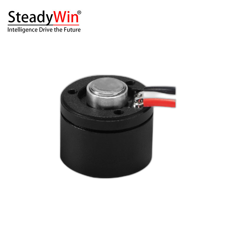 SteadyWin GB1105 Motor