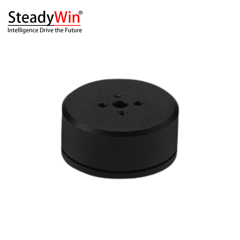 SteadyWin GB2205 Motor