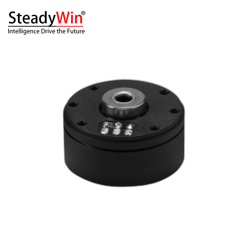 SteadyWin GB2205 Motor