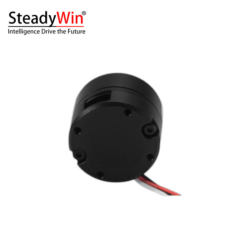 SteadyWin GB2205 Motor