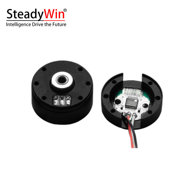 SteadyWin GB2205 Motor