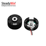 SteadyWin GB2205 Motor