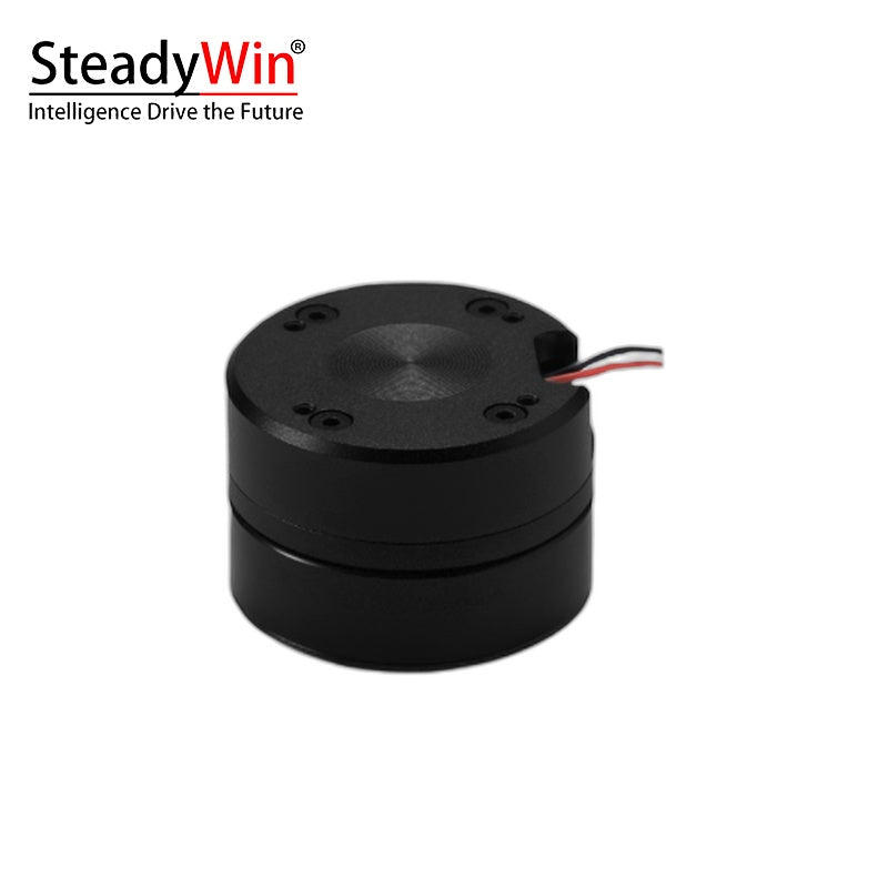 SteadyWin GB2806 Motor