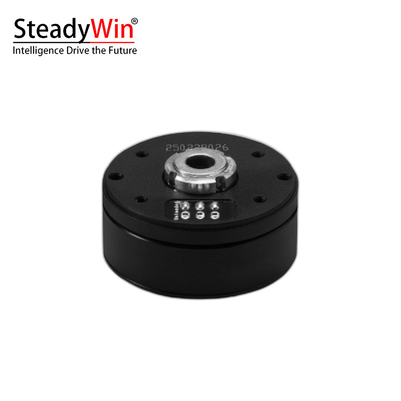 SteadyWin GB2806 Motor