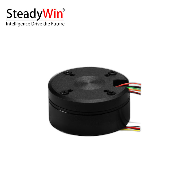 SteadyWin GB4310 Motor
