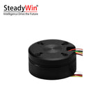 SteadyWin GB4310 Motor