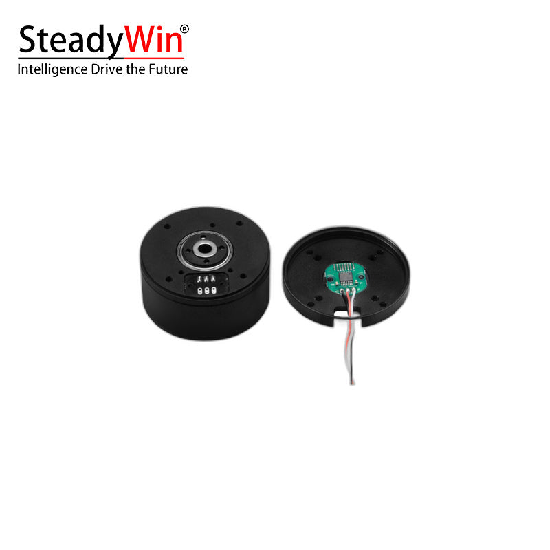 SteadyWin GB4315 Motor