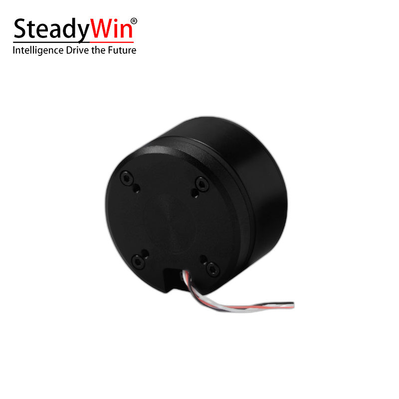 SteadyWin GB4315 Motor