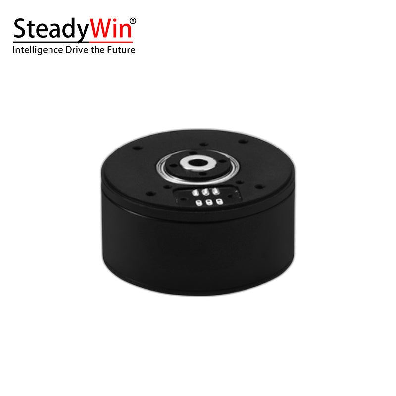 SteadyWin GB4315 Motor