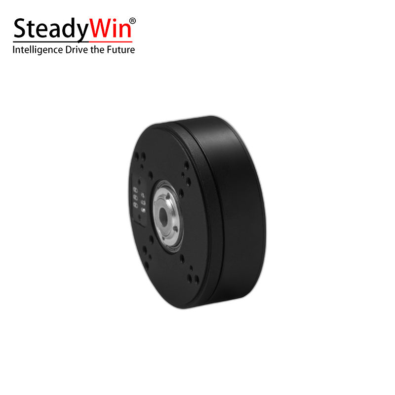 SteadyWin GB5210 Motor