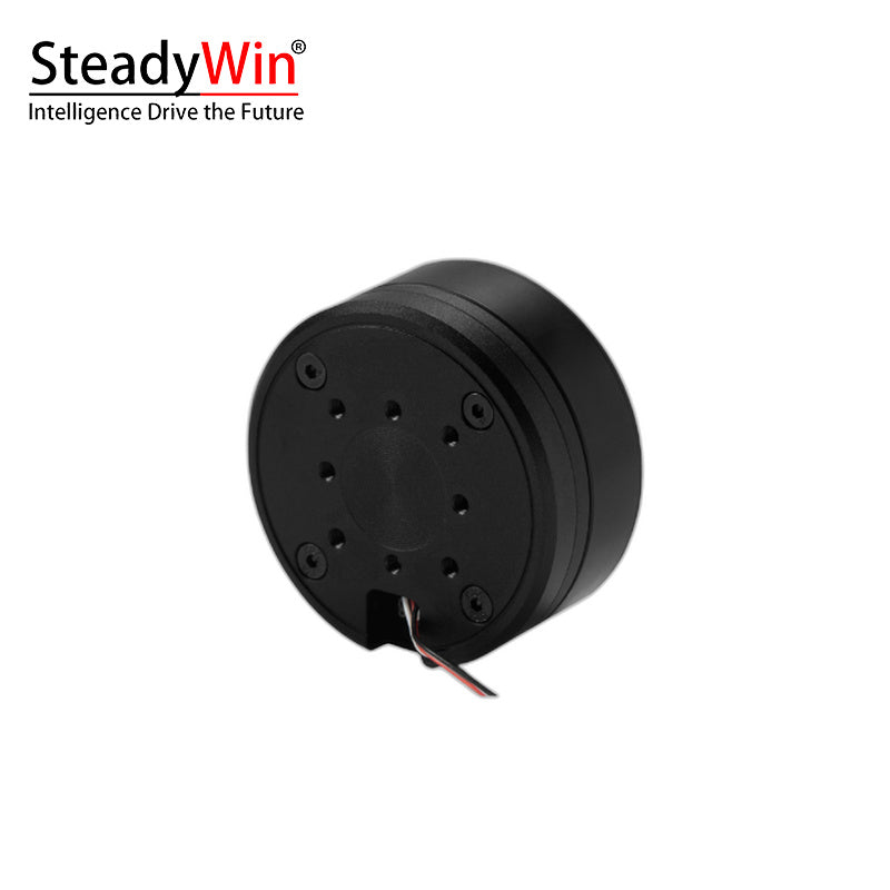 SteadyWin GB5210 Motor