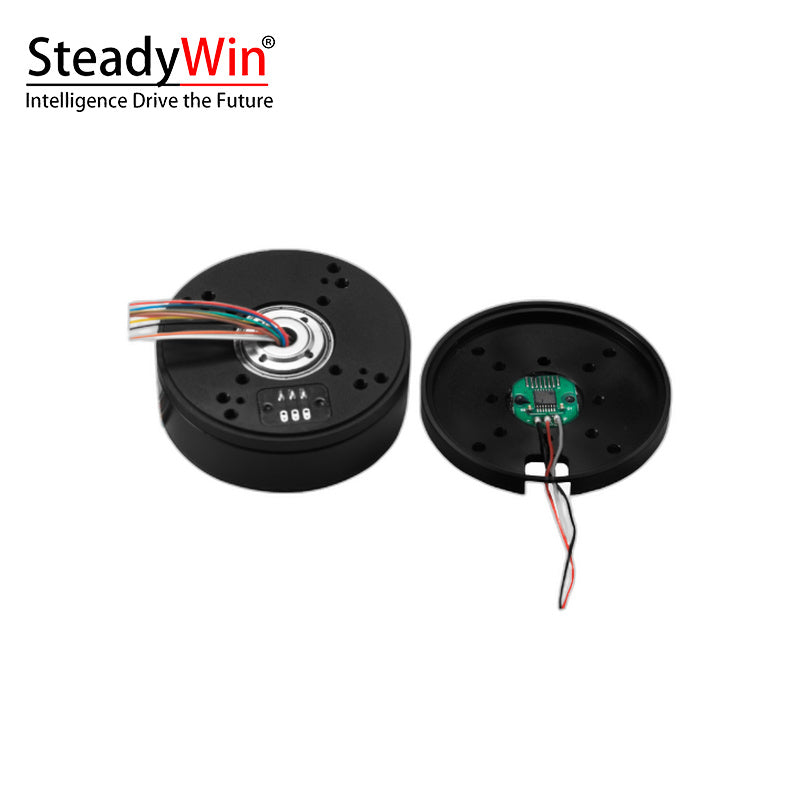 SteadyWin GB5210 Motor